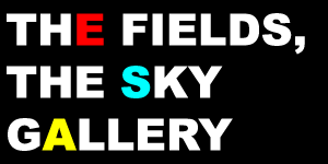 The Fields, The Sky - Gallery
